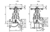Marine PN3.0 Mpa Cast Steel Air Stop Check Valve HDMV22-00