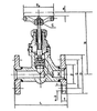 Marine PN2.0 & 3.0 Mpa Forged Steel Air Stop Check Valve HDMV23-00